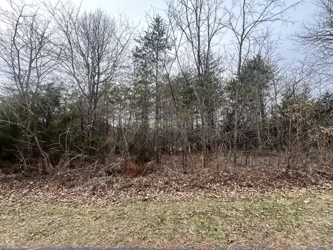 0 Old Pocket Rd, Lynch Station, VA 24571
