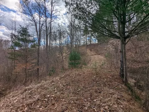 tbd Timber Ridge Rd, Willis, VA 24380 photo 32