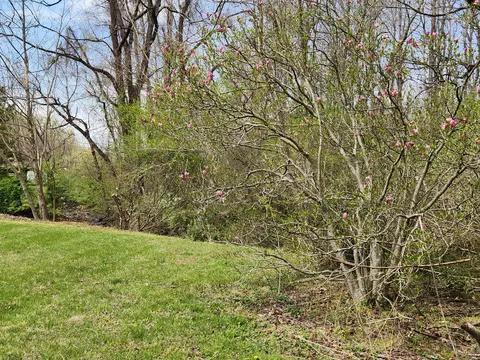 101 Union Rd, Ferrum, VA 24088 photo 37
