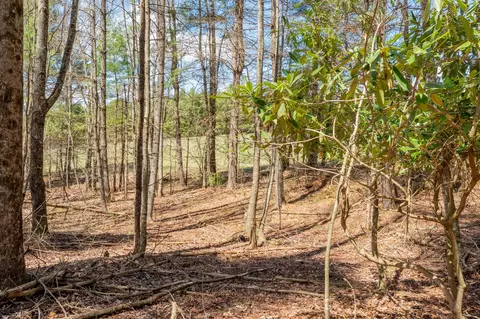 0 Windsor Rd NW, Willis, VA 24380 photo 37