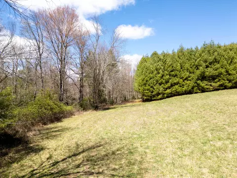 0 Windsor Rd NW, Willis, VA 24380 photo 3