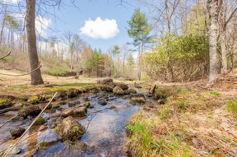0 Windsor Rd NW, Willis, VA 24380 photo 17