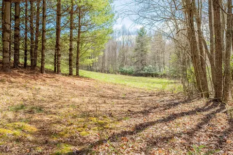 0 Windsor Rd NW, Willis, VA 24380 photo 28
