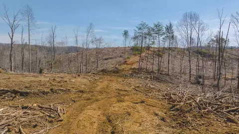 0 Timber Line Rd, Ferrum, VA 24088