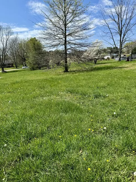 0 Stuart St, Dublin, VA 24084 photo 3