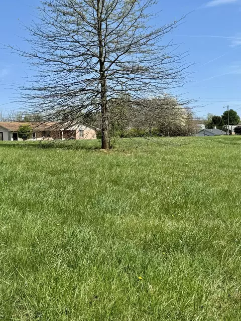 0 Stuart St, Dublin, VA 24084 photo 6