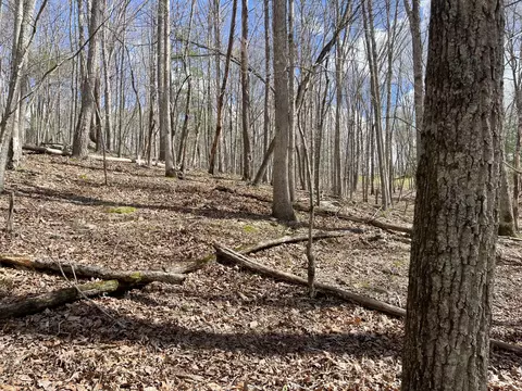 0 Otterville Rd, Bedford, VA 24523