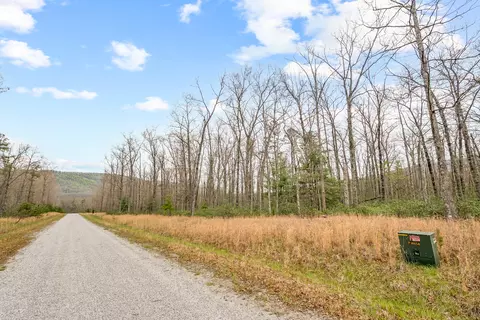 tbd Black Diamond Dr, New Castle, VA 24127