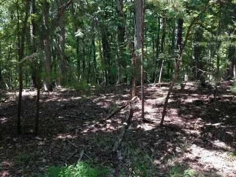 lot96 Chestnut Dr, Hardy, VA 24101 photo 2