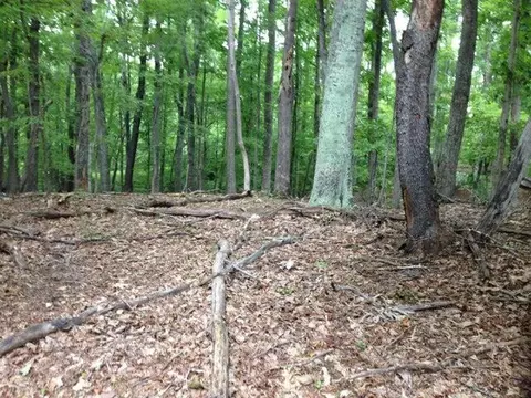 lot96 Chestnut Dr, Hardy, VA 24101