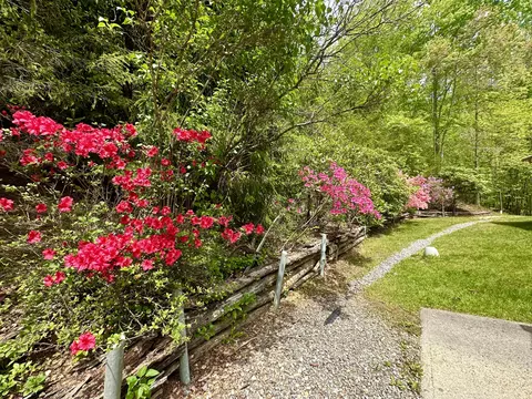 718 Mt Pleasant Dr, Covington, VA 24426 photo 52