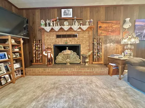 718 Mt Pleasant Dr, Covington, VA 24426 photo 21