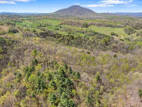 View/Area - 3720 Shiloh, Pulaski, VA 24301 photo 18 of 57