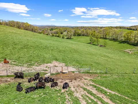 View/Area - 3720 Shiloh, Pulaski, VA 24301 photo 49 of 57