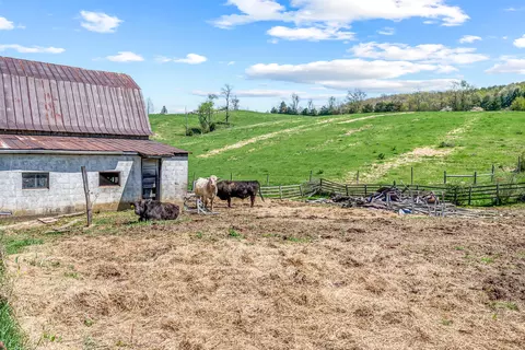 Exterior - 3720 Shiloh, Pulaski, VA 24301 photo 5 of 32