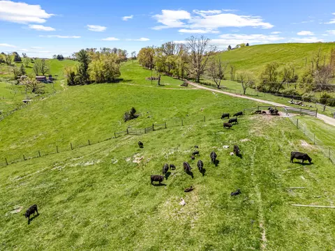 View/Area - 3720 Shiloh, Pulaski, VA 24301 photo 30 of 57