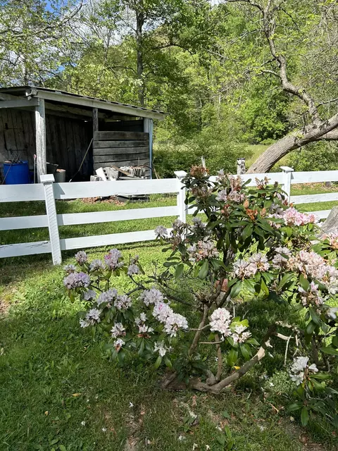 7223 Mill Branch Rd, Covington, VA 24426 photo 29