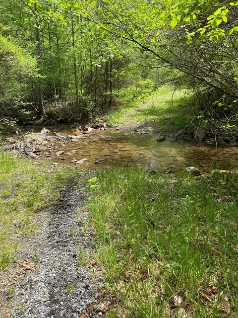 7223 Mill Branch Rd, Covington, VA 24426 photo 46