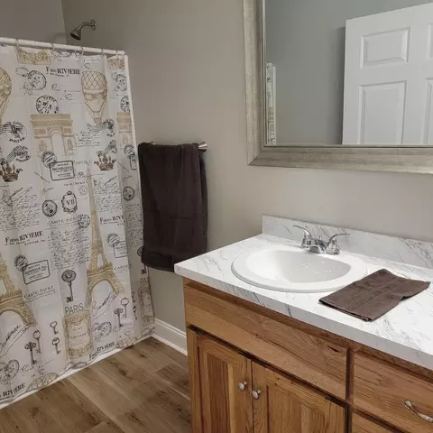 Bath - 186 Edgewood Dr, Stanleytown, VA 24168 photo 1 of 5