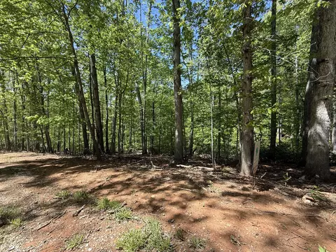 0 Cedar Bluff Ln, Hardy, VA 24101