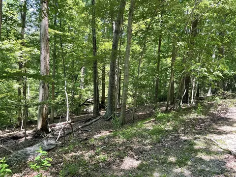 0 Cedar Bluff Ln, Hardy, VA 24101 photo 3