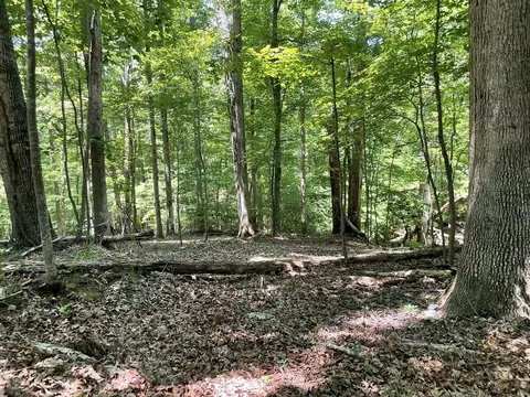 0 Cedar Bluff Ln, Hardy, VA 24101 photo 5
