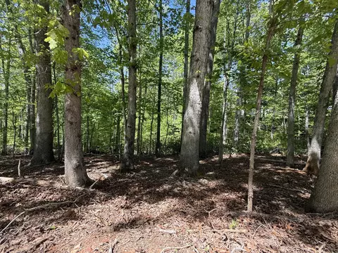 0 Cedar Bluff Ln, Hardy, VA 24101 photo 2