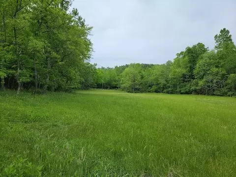 Exterior - 311 Shortcut Dr, Woolwine, VA 24185 photo 6 of 17