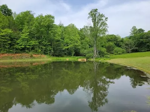 View/Area - 311 Shortcut Dr, Woolwine, VA 24185 photo 5 of 6