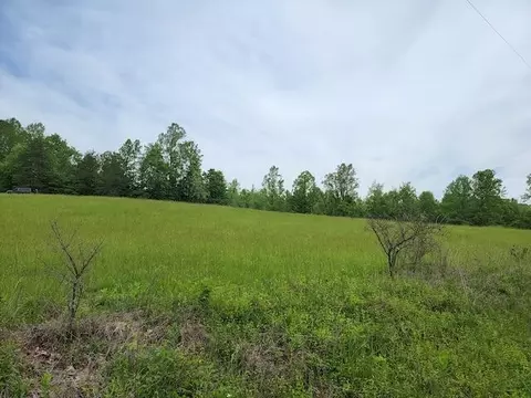 0 Shortcut Dr, Woolwine, VA 24185 photo 4