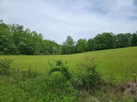 0 Shortcut Dr, Woolwine, VA 24185 photo 5