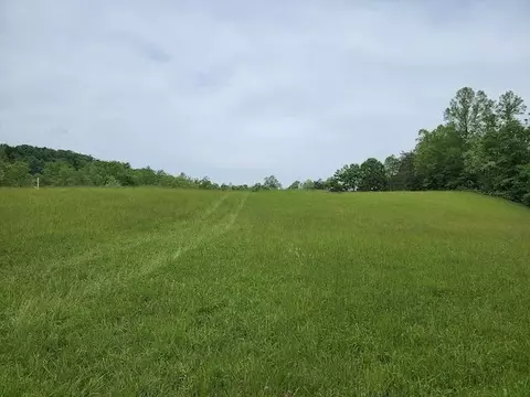 0 Shortcut Dr, Woolwine, VA 24185 photo 6