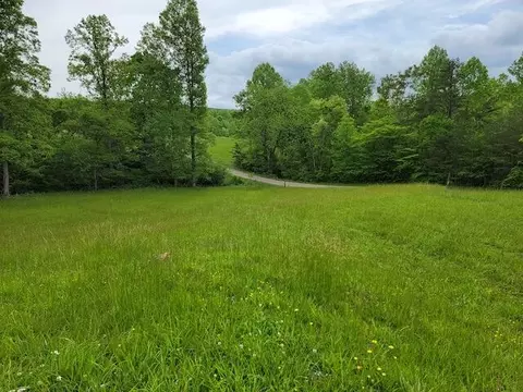 0 Shortcut Dr, Woolwine, VA 24185 photo 8