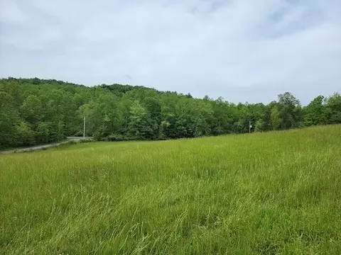 0 Shortcut Dr, Woolwine, VA 24185 photo 9