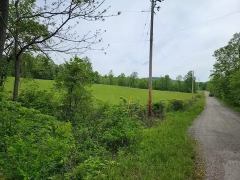 0 Shortcut Dr, Woolwine, VA 24185 photo 2