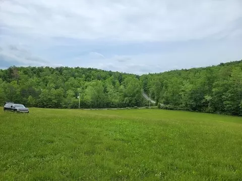 0 Shortcut Dr, Woolwine, VA 24185 photo 11