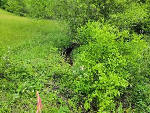 Tbd2 Shortcut Rd, Woolwine, VA 24185 photo 2