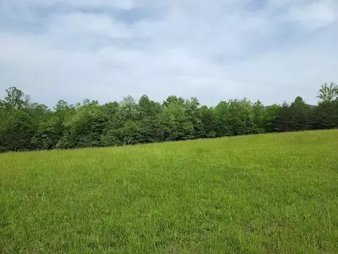 Tbd2 Shortcut Rd, Woolwine, VA 24185 photo 6