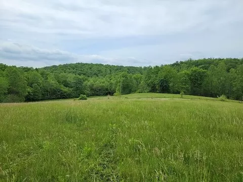 Tbd2 Shortcut Rd, Woolwine, VA 24185 photo 10