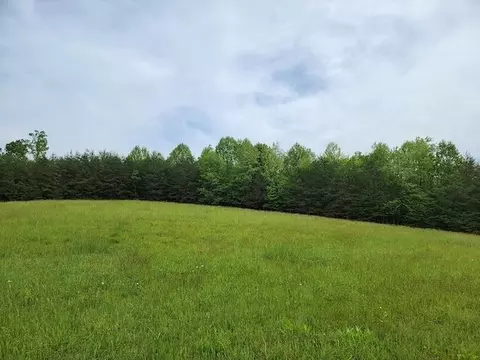 Tbd2 Shortcut Rd, Woolwine, VA 24185 photo 5