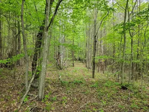 Tbd2 Shortcut Rd, Woolwine, VA 24185 photo 8