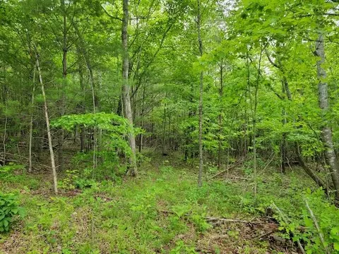 Tbd2 Shortcut Rd, Woolwine, VA 24185 photo 7