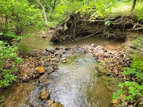 Tbd4 Shortcut Rd, Woolwine, VA 24185 photo 10