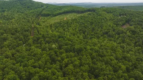 Tbd4 Shortcut Rd, Woolwine, VA 24185 photo 16