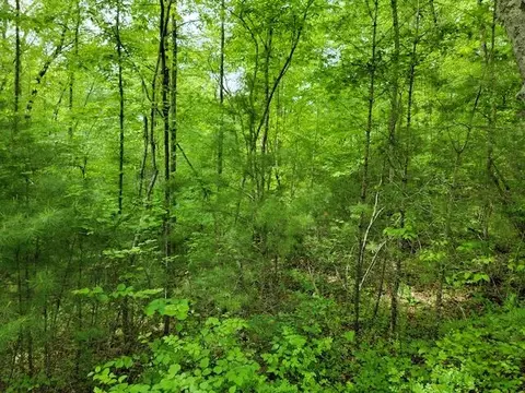 Tbd4 Shortcut Rd, Woolwine, VA 24185 photo 2