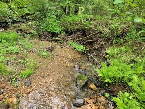 Tbd4 Shortcut Rd, Woolwine, VA 24185 photo 6