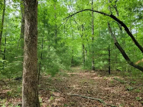 Tbd4 Shortcut Rd, Woolwine, VA 24185 photo 5