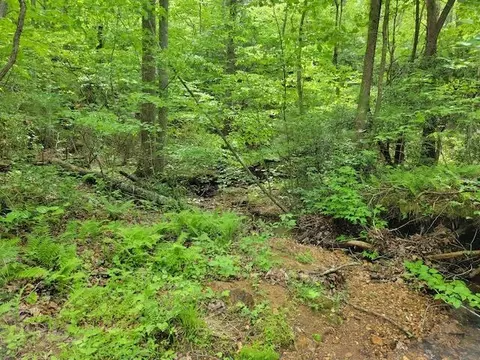 Tbd4 Shortcut Rd, Woolwine, VA 24185 photo 7