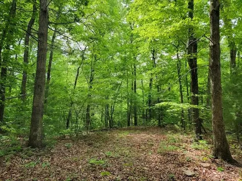 Tbd4 Shortcut Rd, Woolwine, VA 24185 photo 4
