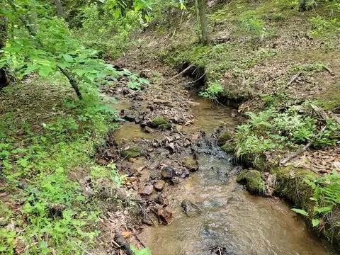 Tbd4 Shortcut Rd, Woolwine, VA 24185 photo 9